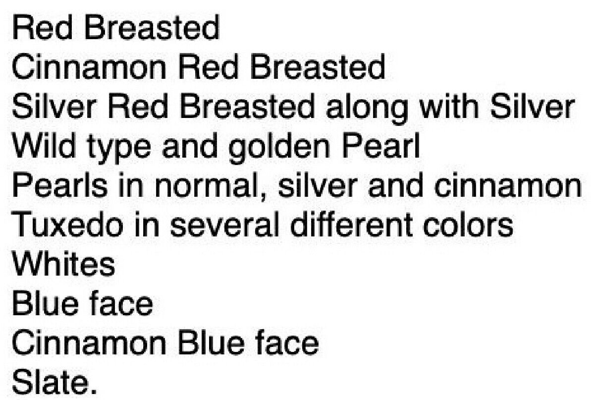 Quail
              Colors