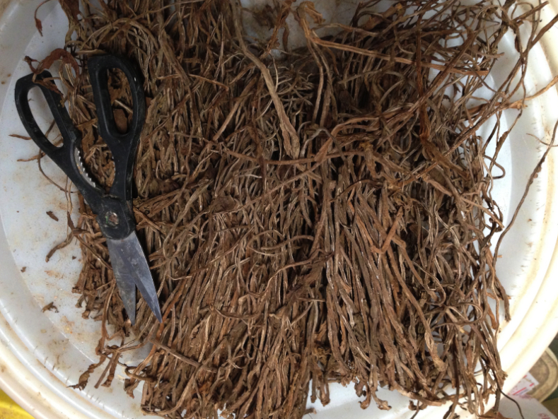 Seed Mixtures, Egg Food and Tobacco Stems